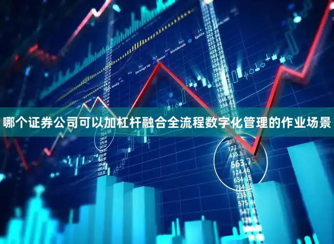 哪个证券公司可以加杠杆融合全流程数字化管理的作业场景