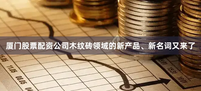 厦门股票配资公司木纹砖领域的新产品、新名词又来了